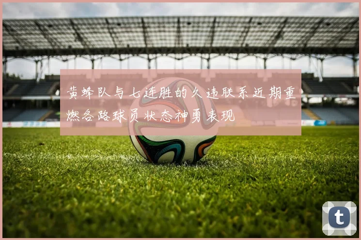 黄蜂队与七连胜的久违联系近期重燃各路球员状态神勇表现