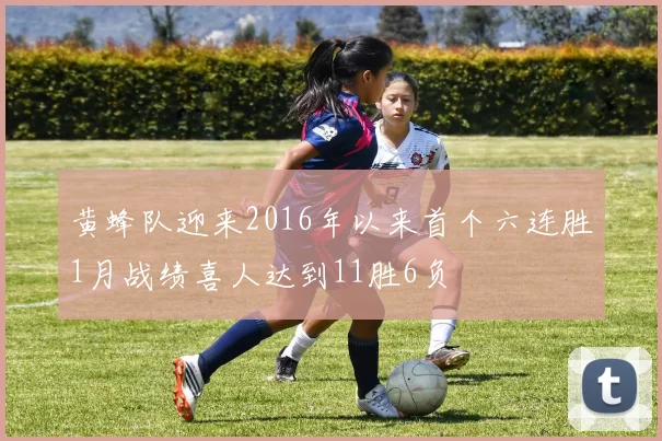 黄蜂队迎来2016年以来首个六连胜1月战绩喜人达到11胜6负